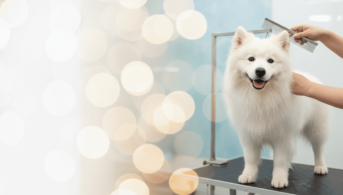 Professional dog grooming service in San Diego — YUPET Grooming