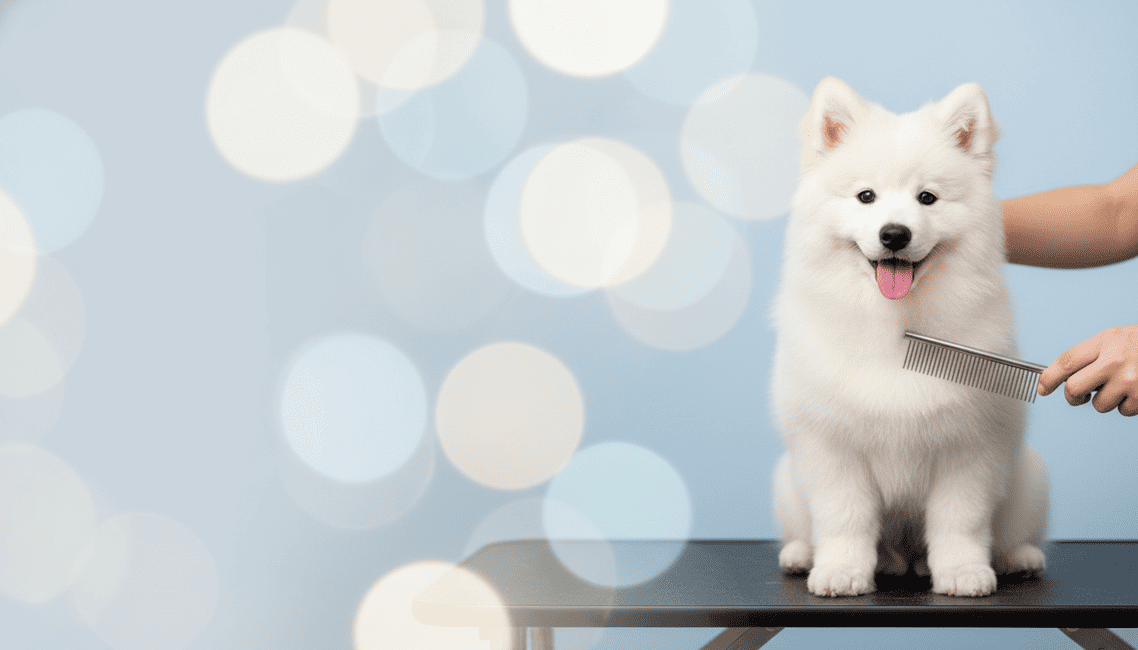 Professional dog grooming service in San Diego — YUPET Grooming