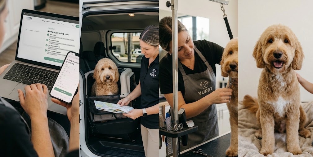 Dog bathing and grooming service in San Diego